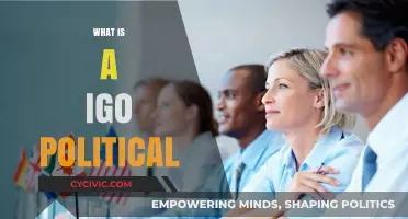Understanding IGO Political: Roles, Influence, and Global Governance Explained