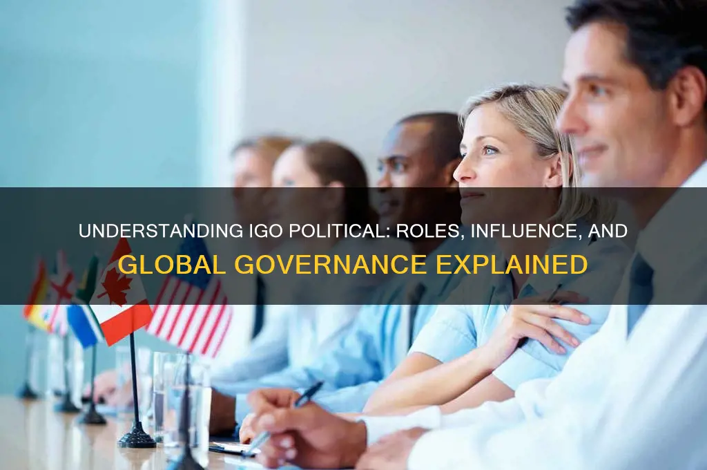 what is a igo political