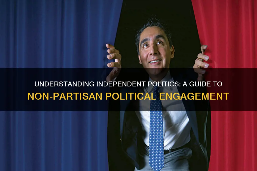 what is a independent political