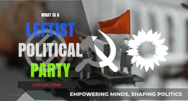 Understanding Leftist Political Parties: Ideologies, Goals, and Global Influence