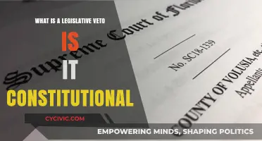 Legislative Veto: Is It Constitutional?