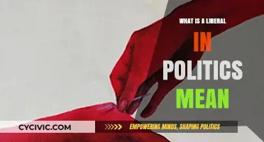 Understanding Liberalism: A Guide to Political Ideologies
