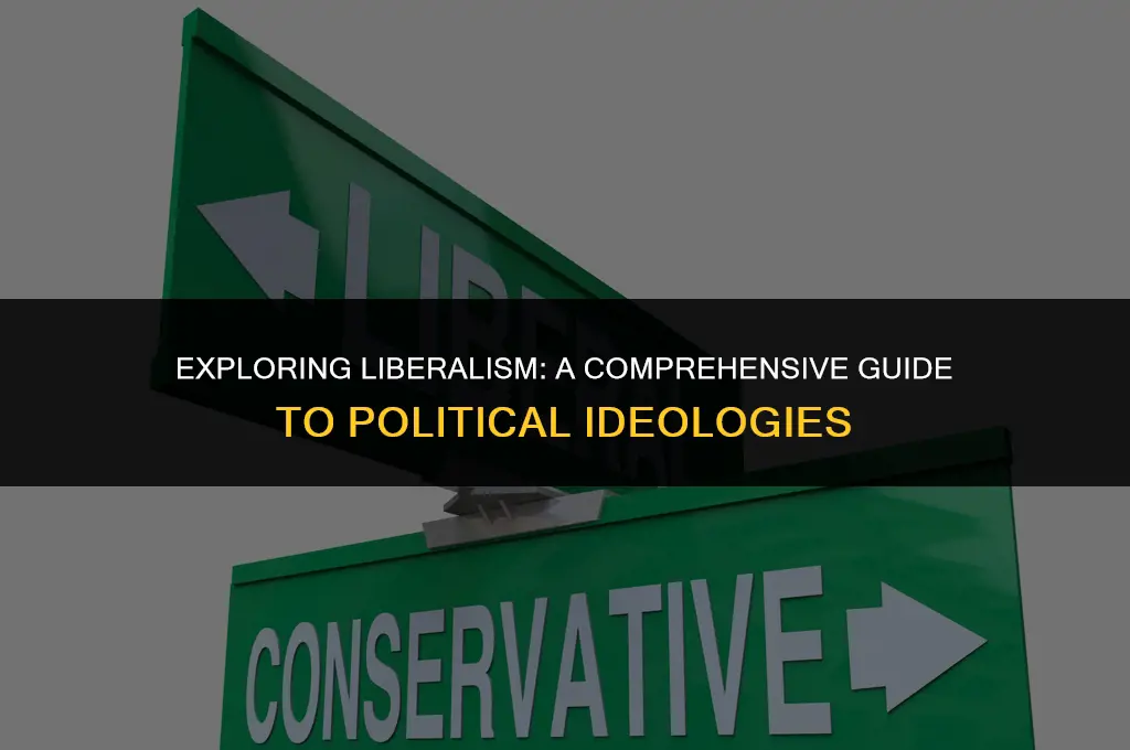what is a liberal political view abc