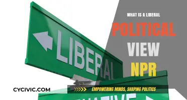 Exploring Liberal Political Perspectives: An NPR-Inspired Analysis