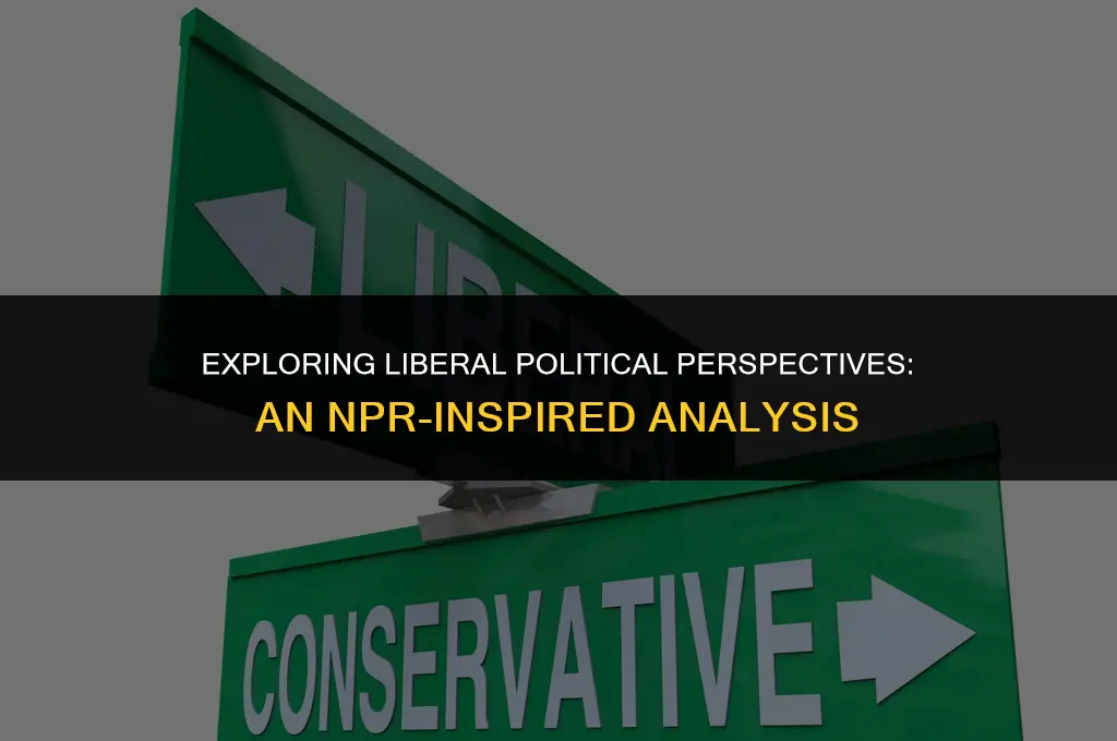 what is a liberal political view npr