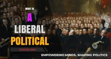 Understanding Liberal Politics: Core Principles, Values, and Modern Impact