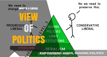 Exploring the Nuances of Liberal Political Ideology