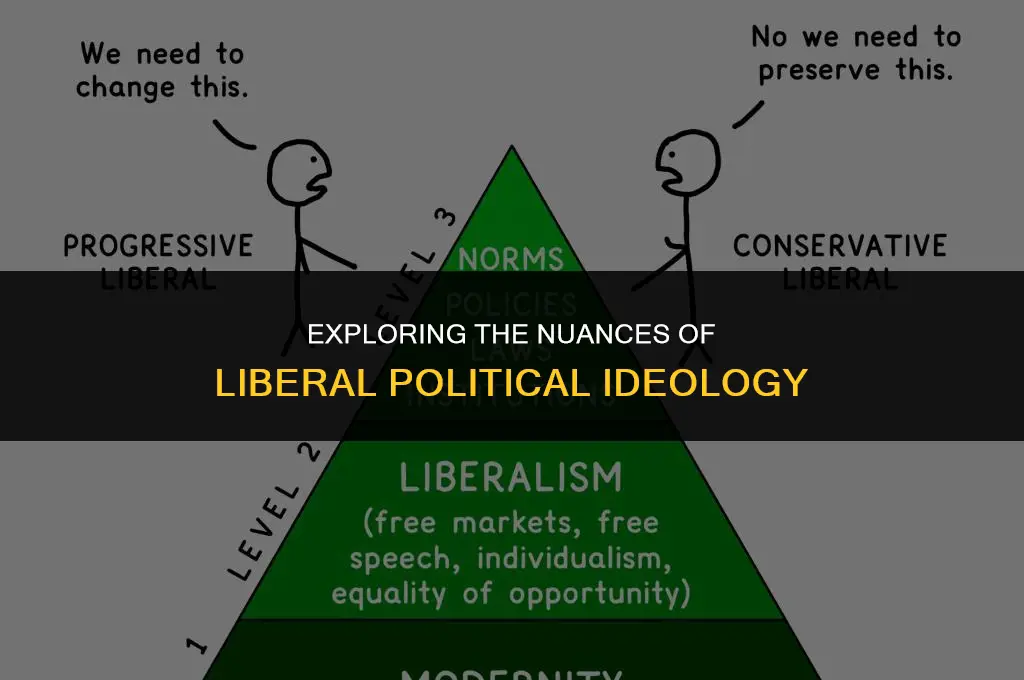 what is a liberal view of politics