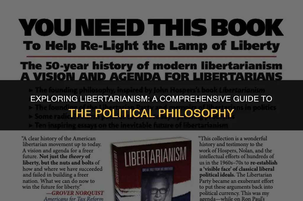 what is a libertarian political view