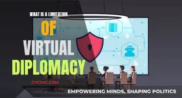 Virtual Diplomacy: Limited by Lack of Physical Presence