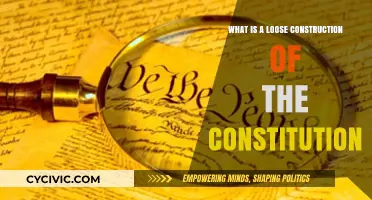 Loose Construction: A Flexible Constitution Interpretation