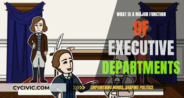 Executive Departments: Their Core Functions and Purpose