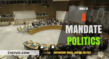 Understanding Political Mandates: Definition, Role, and Impact in Governance