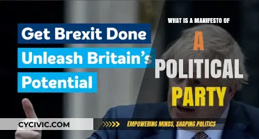 Understanding the Core: What is a Political Party Manifesto?