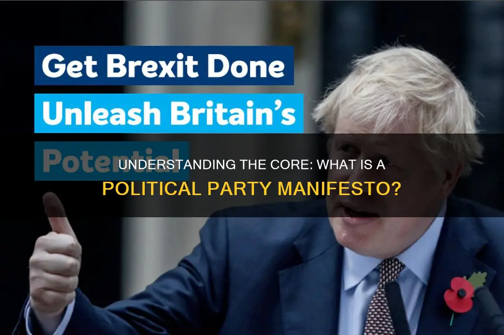 what is a manifesto of a political party