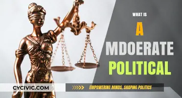 Understanding Moderate Politics: Balancing Ideologies in a Polarized World