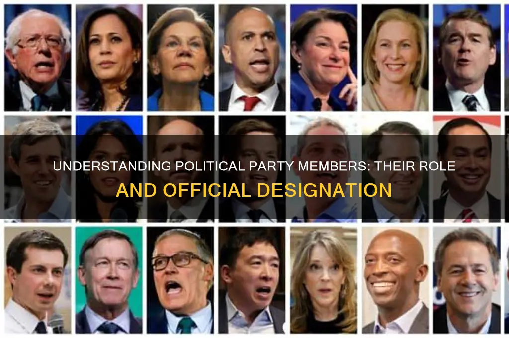 what is a member of a political party called