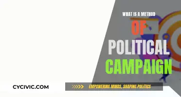Effective Political Campaigning: Strategies for Success
