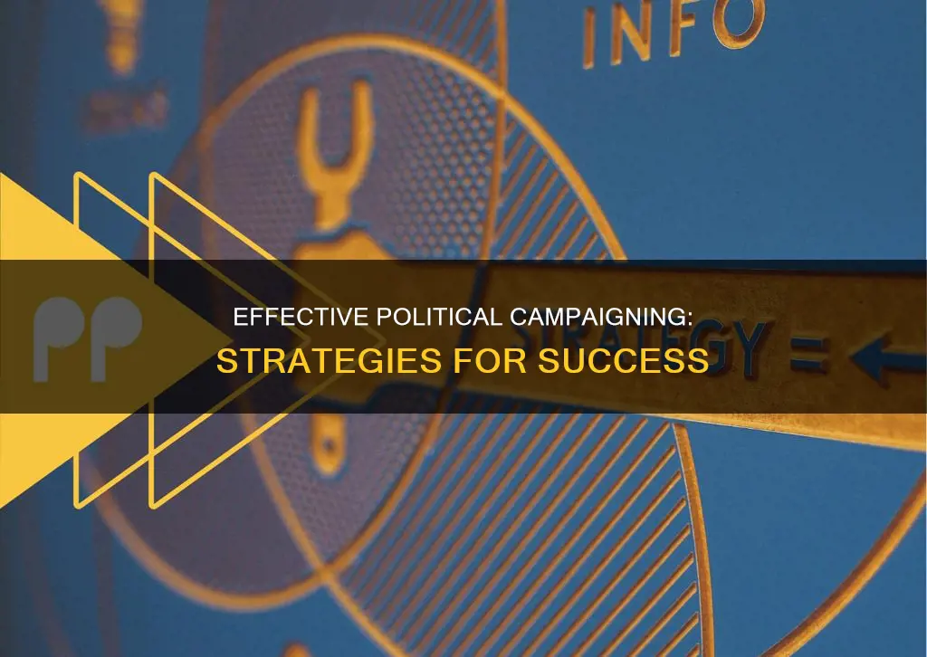 what is a method of political campaign