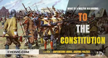 Understanding the Constitution's Militia Definition