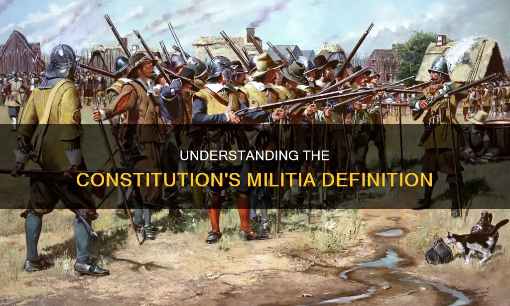 what is a militia according to the constitution