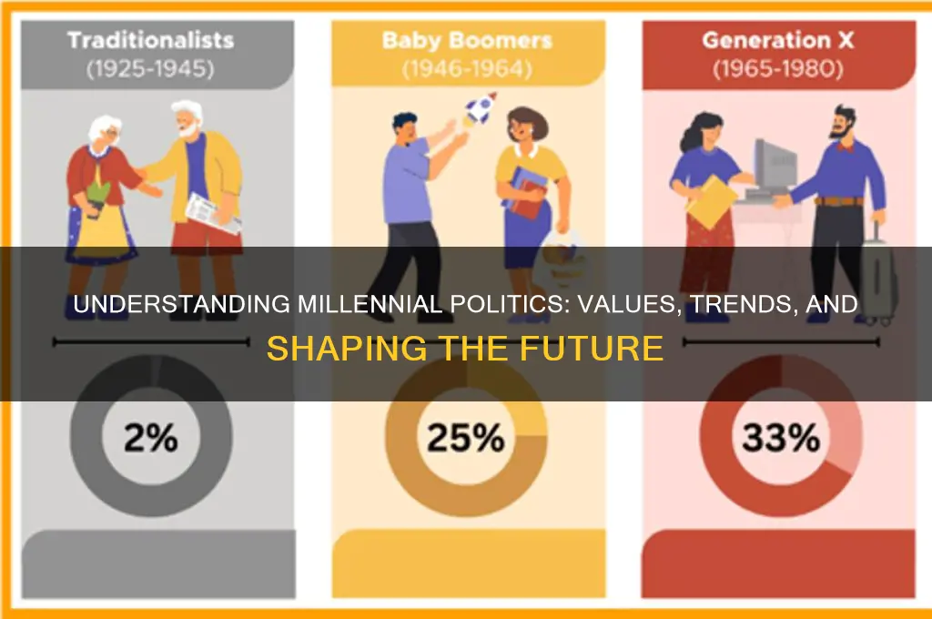 what is a millennial politics