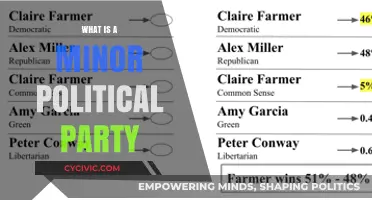 Understanding Minor Political Parties: Roles, Impact, and Influence in Politics
