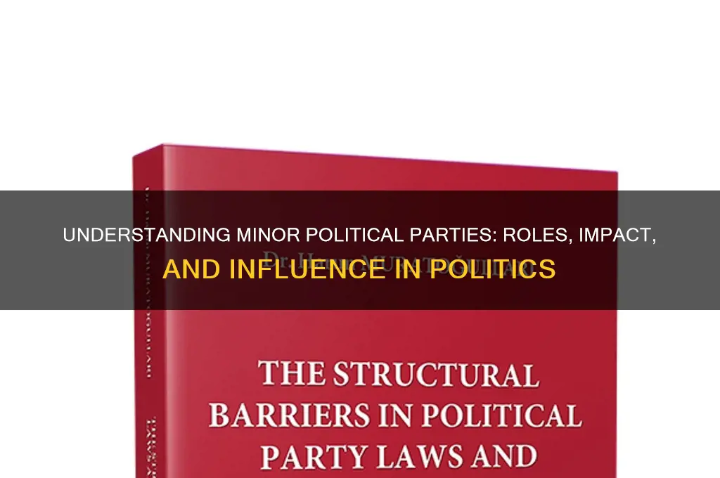 what is a minor political party