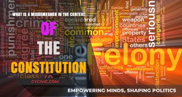 Misdemeanor Explained: Understanding Criminal Law and the Constitution