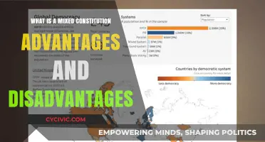 Exploring Mixed Constitutions: Benefits and Drawbacks