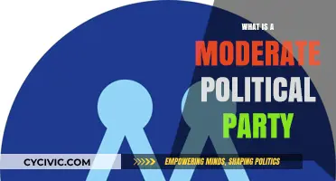 Understanding Moderate Political Parties: Centrism, Pragmatism, and Balance Explained
