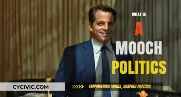 Understanding Mooch Politics: A Brief Dive into Its Meaning and Impact