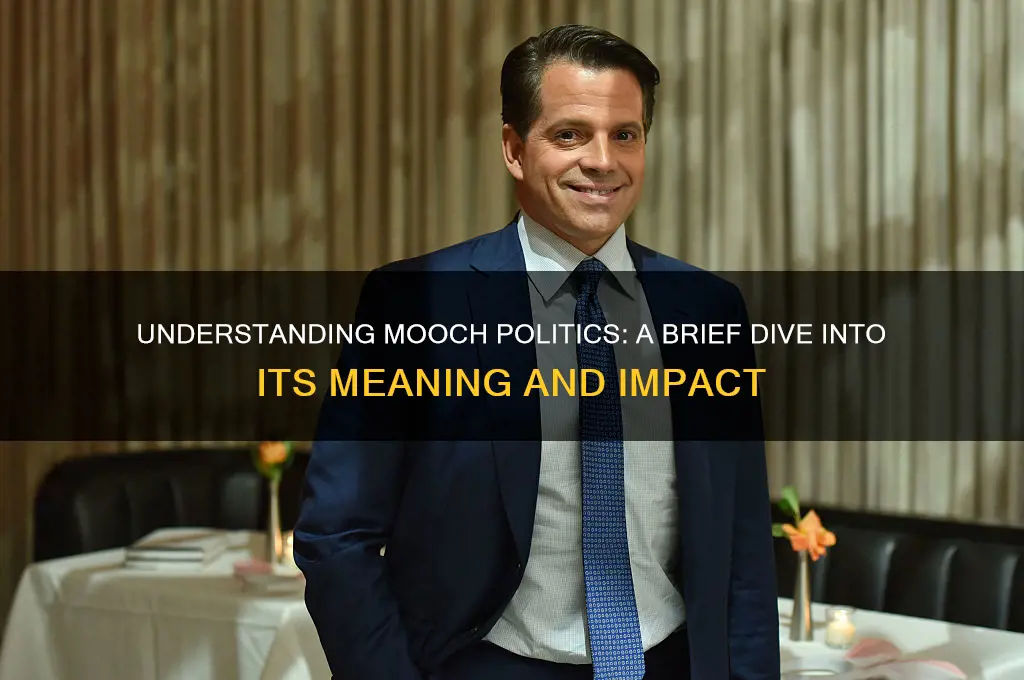 what is a mooch politics