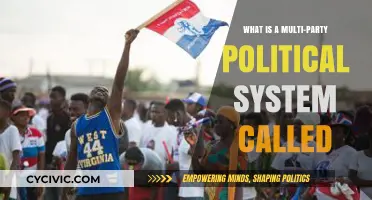 Understanding Multi-Party Democracy: The Political System Explained