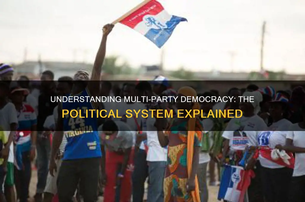 what is a multi-party political system called