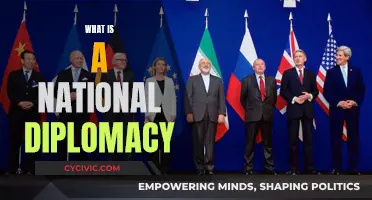Diplomacy: National Strategies for Global Influence and Relations