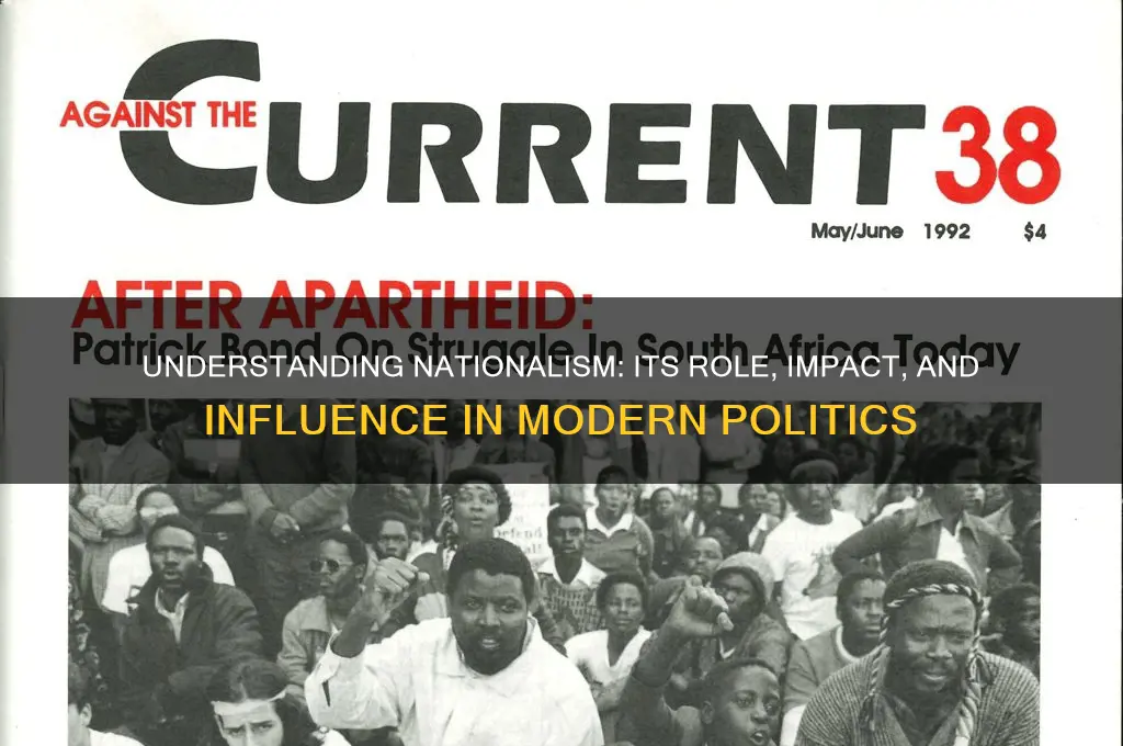 what is a nationalism politics