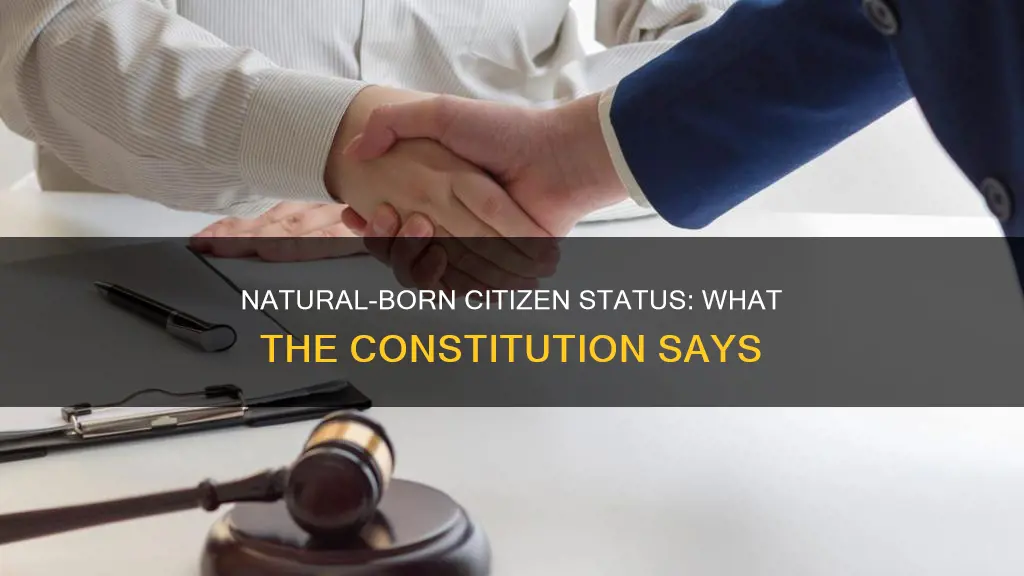 what is a natural born citizen according to the constitution