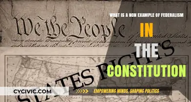 Federalism: What the Constitution Doesn't Cover