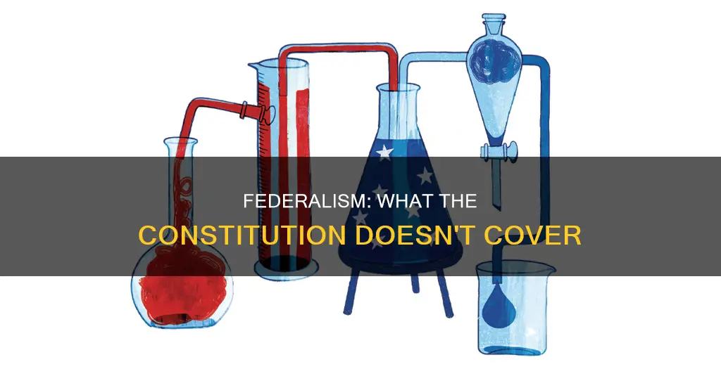 what is a non example of federalism in the constitution