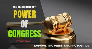 Non-Legislative Powers: How Congress Influences Without Lawmaking