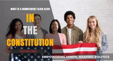 Understanding Nonresident Alien Status in the US Constitution