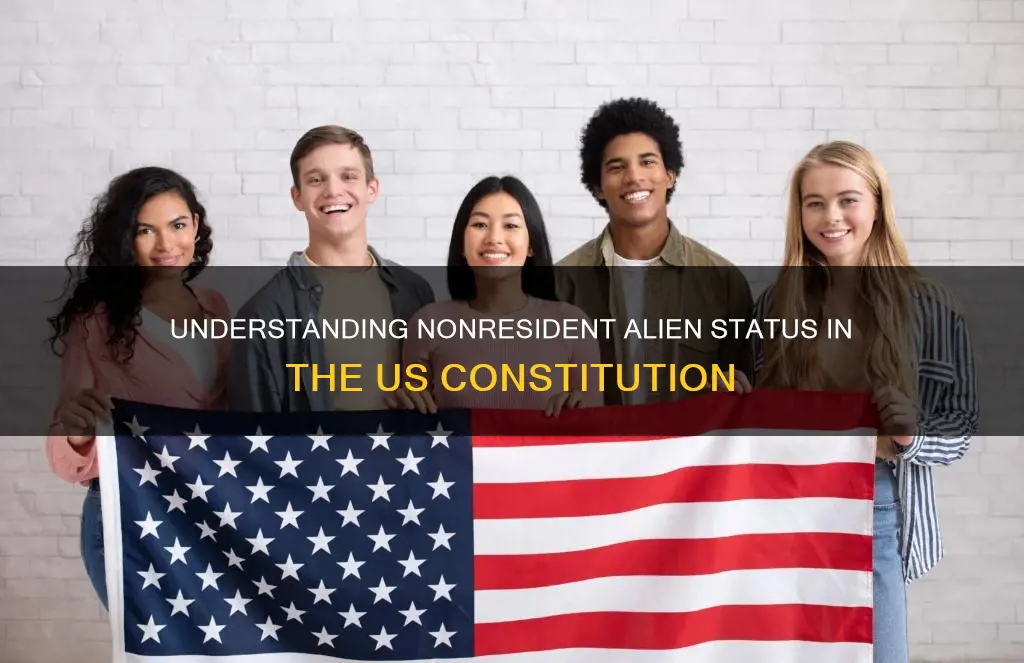 what is a nonresident alien alien in the constitution