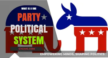Understanding the One-Party Political System: Structure, Power, and Control