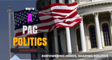 Understanding PAC Politics: Influence, Funding, and Impact on Elections
