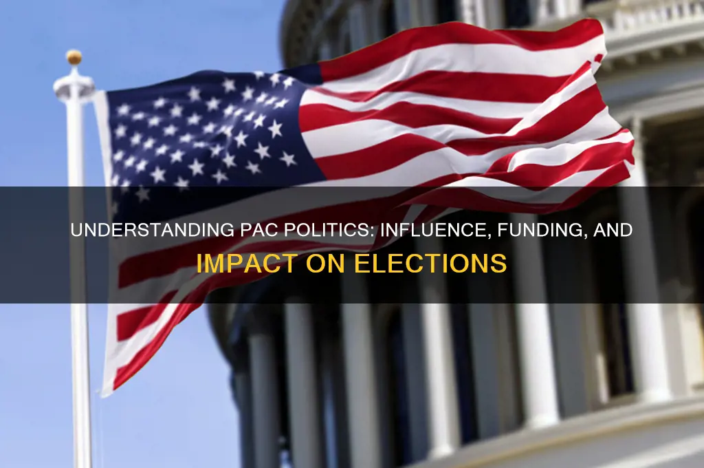 what is a pac politics