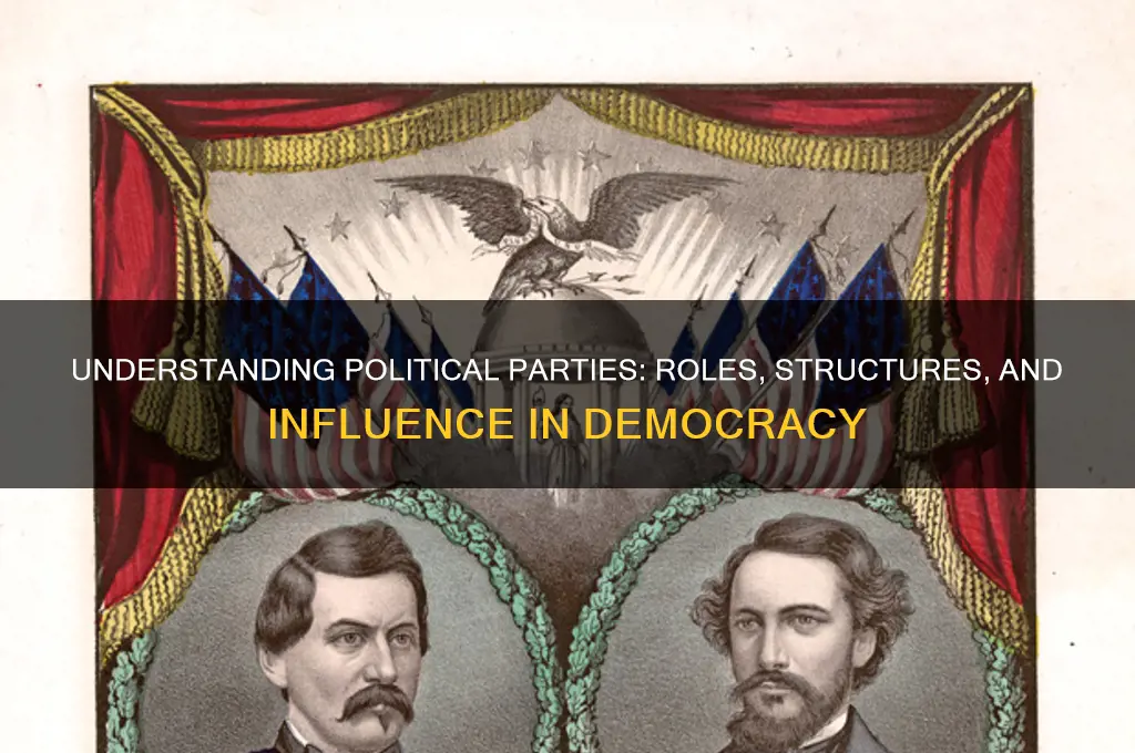 what is a party in politics