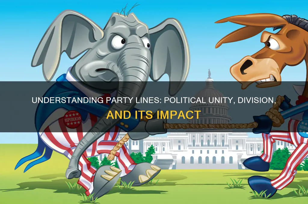 what is a party line in politics