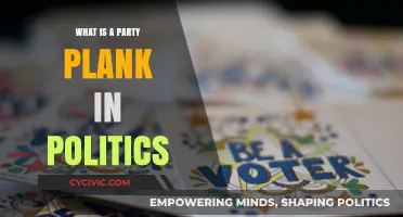 Understanding Party Planks: Political Platforms and Their Role in Elections