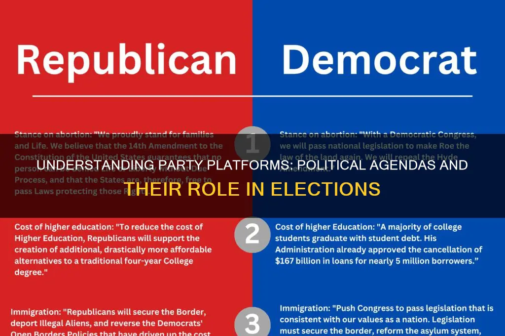 what is a party platform in politics